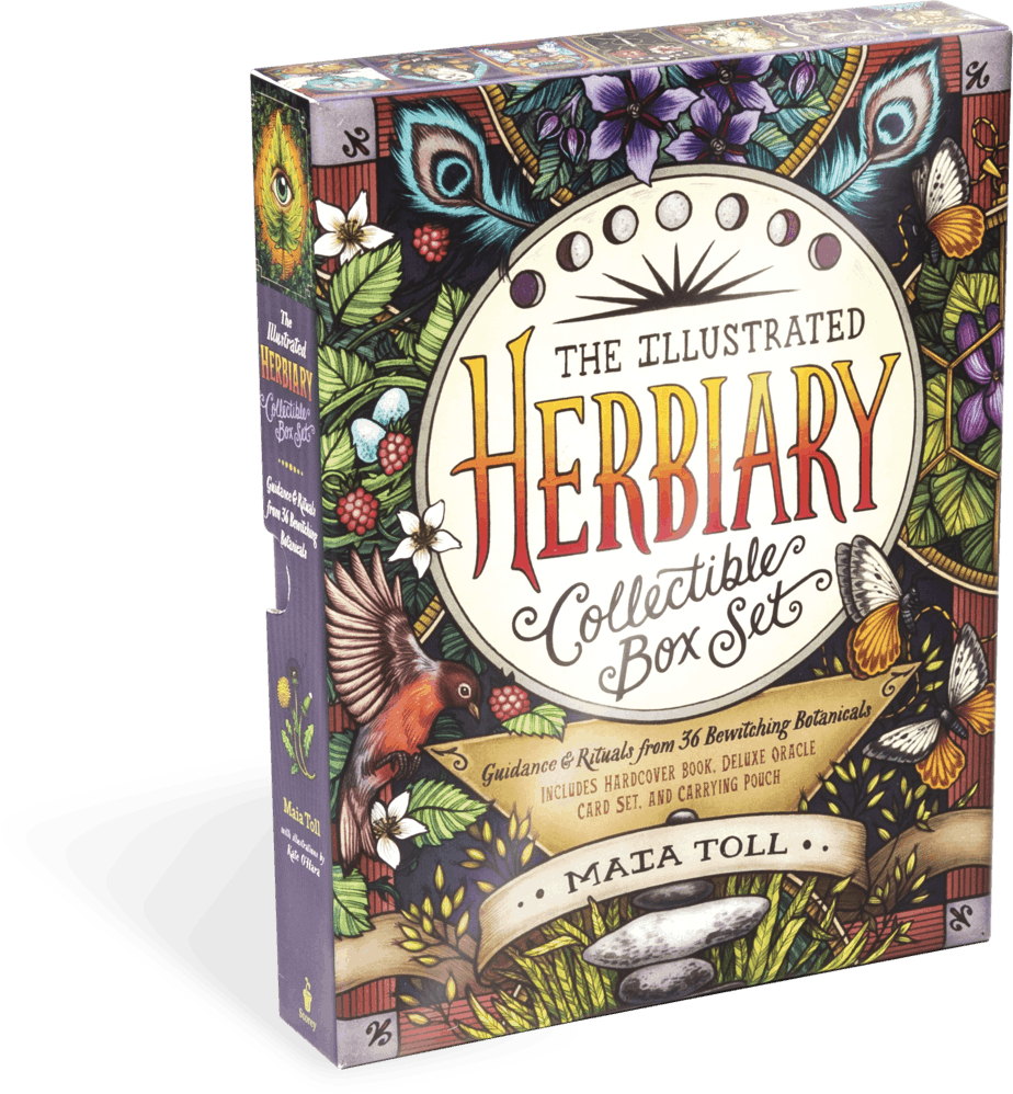 The Illustrated Herbiary Collectible Box Set 3D