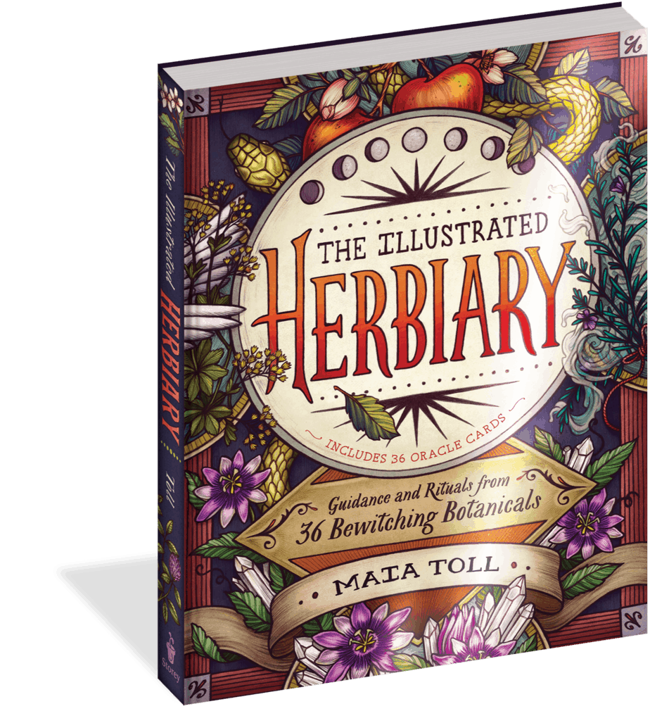 The Illustrated Herbiary 3D