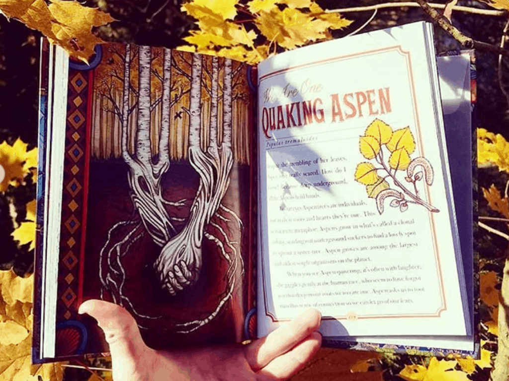 When Madness Overwhelms Magic - Quaking Aspen chapter in The Illustrated Herbiary