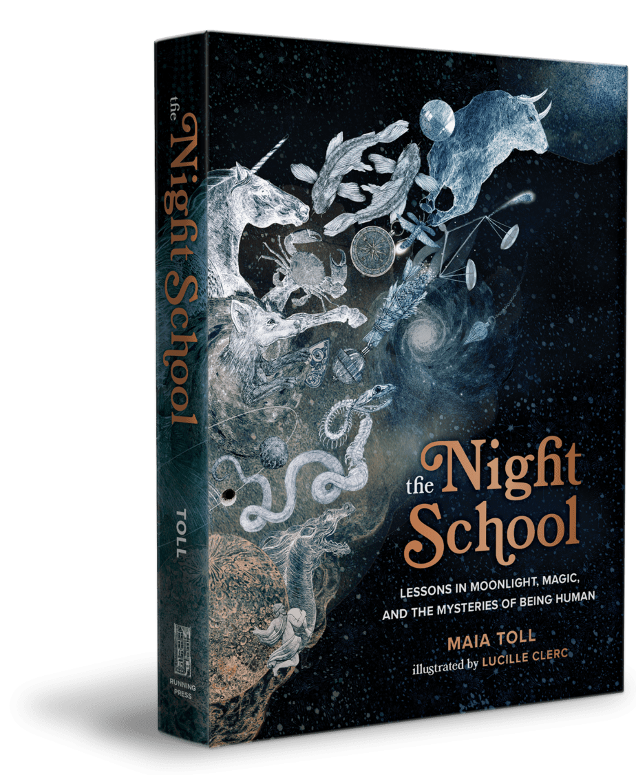 The Night School book