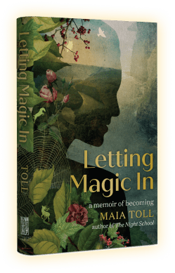Letting Magic In 3D book cover