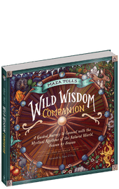 Wild Wisdom Companion book