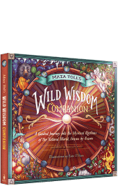 Maia Toll's Wild Wisdom Companion book cover